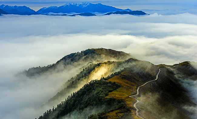 首页|k1体育十年品牌值得信任