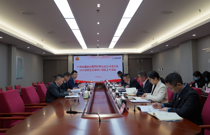 k1体育集团党委书记、、董事长任丁出席逍遥旅馆集团2022年度党员向导干部民主生涯会