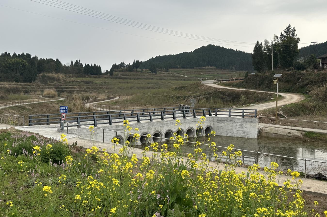 2d1c525c-64af-4253-a7ad-de52776f6c89