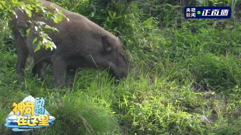 0fc06046-74f0-45c8-b2d8-44fc78731b10