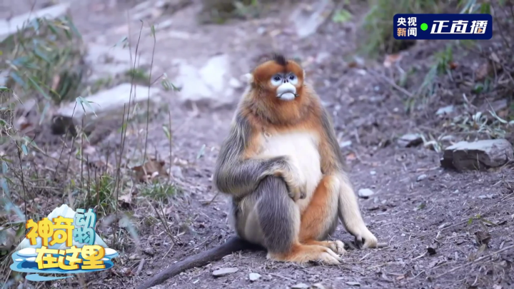 16cda735-620b-4cfa-9ed9-fb4f15051322