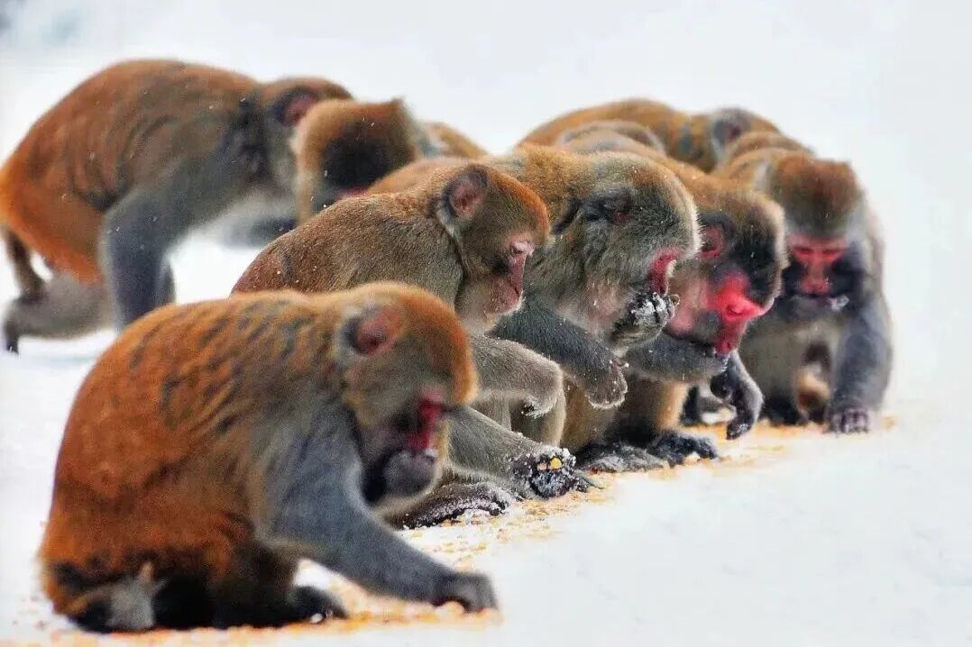 52053e2d-9285-4c25-80bf-d555cf42ced2