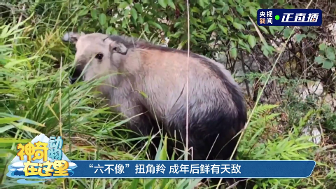 9884437a-04c4-414a-821e-c62c54e6cd87