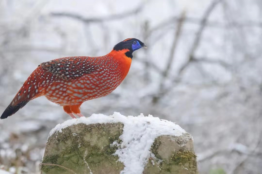 a95b5ffd-c27f-4d91-86cc-b2b2a8ecc523